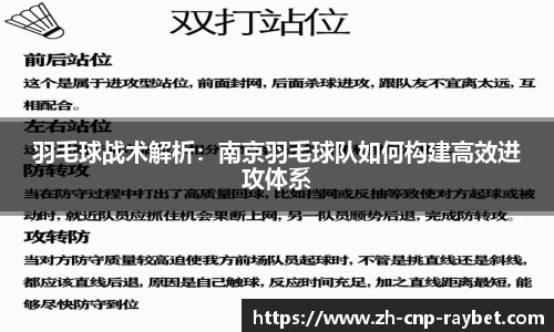 羽毛球战术解析：南京羽毛球队如何构建高效进攻体系
